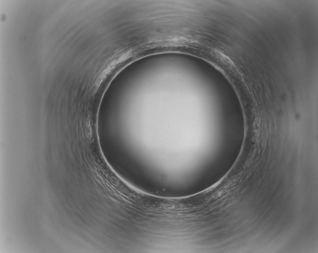 X0000057061218200509231523