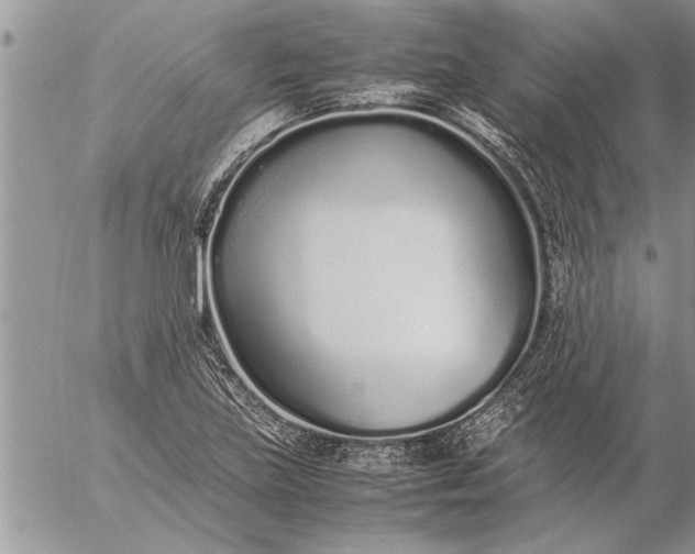 X0000057061219200509231523