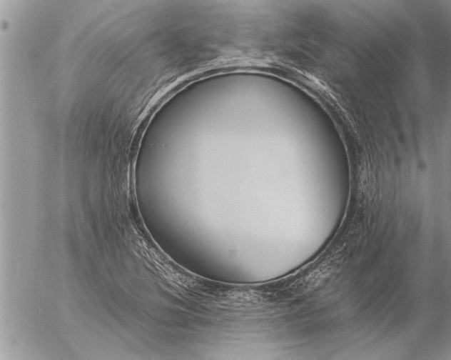 X0000057061220200509231523