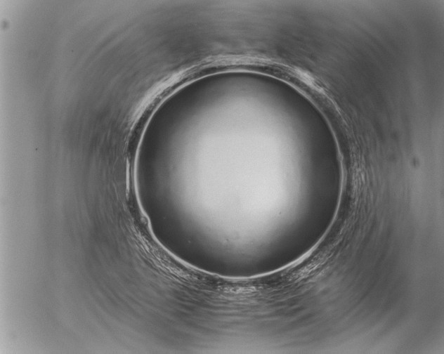 X0000057061221200509231523