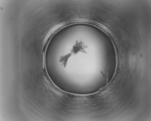 X0000057061223200509231523