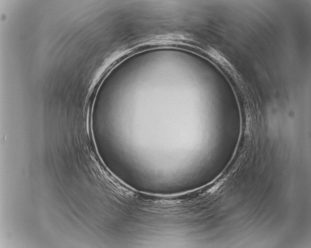 X0000057061224200509231523