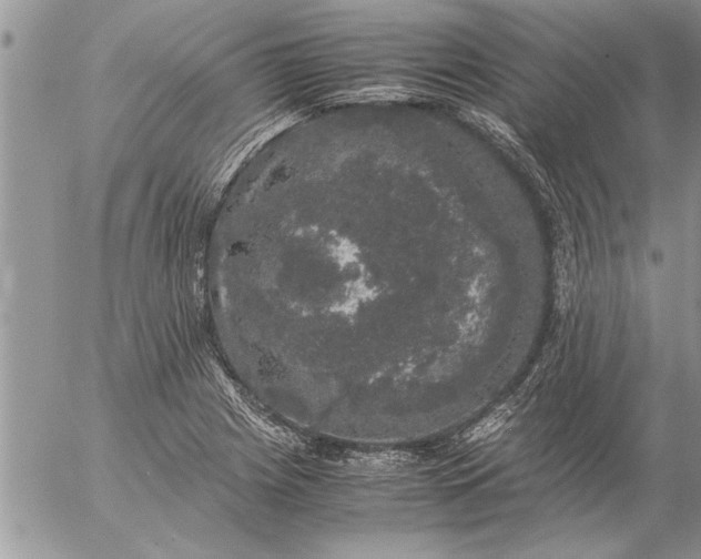 X0000057061225200509231523