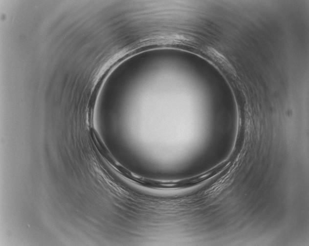 X0000057061226200509231523