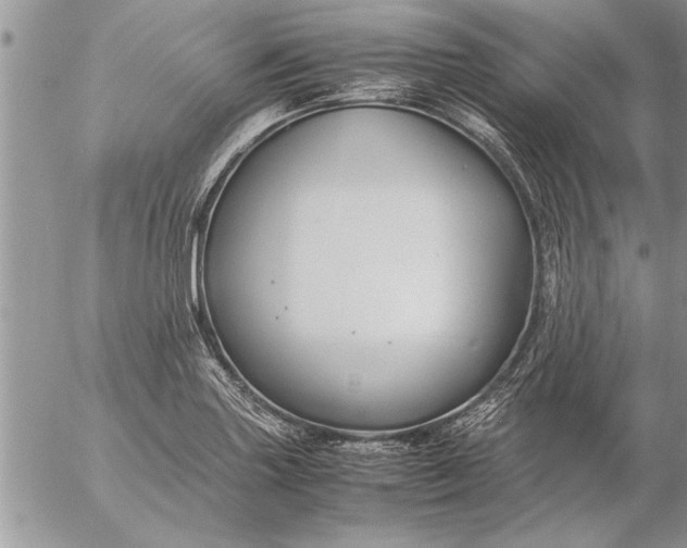 X0000057061227200509231523