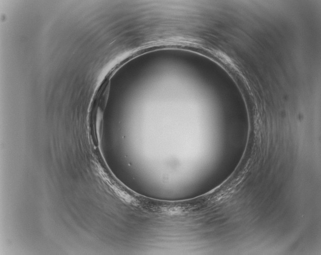 X0000057061230200509231523