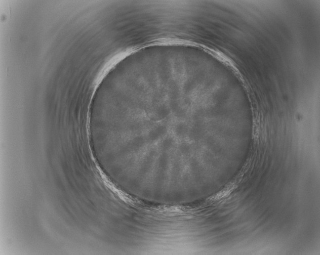 X0000057061231200509231523