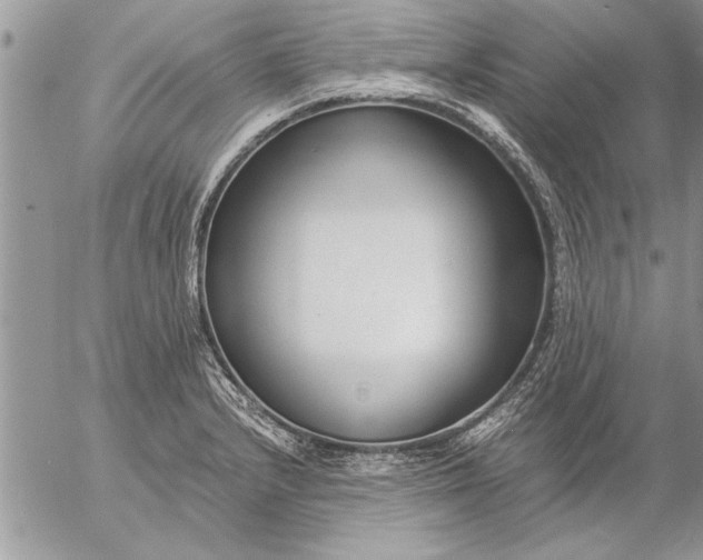 X0000057061232200509231524