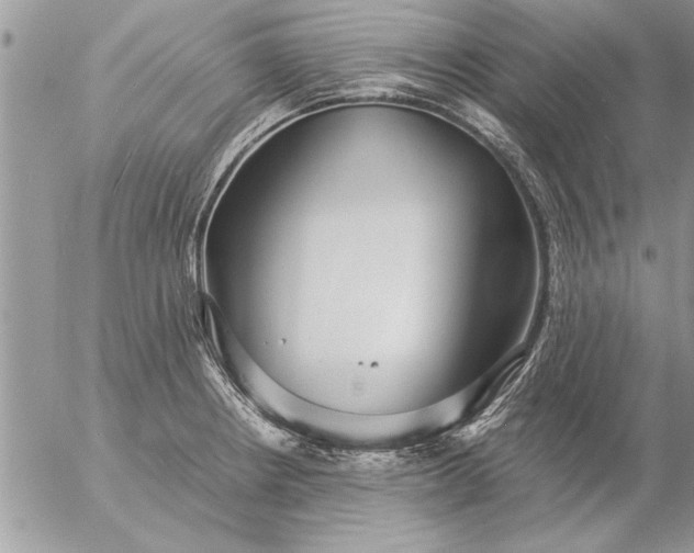 X0000057061234200509231524