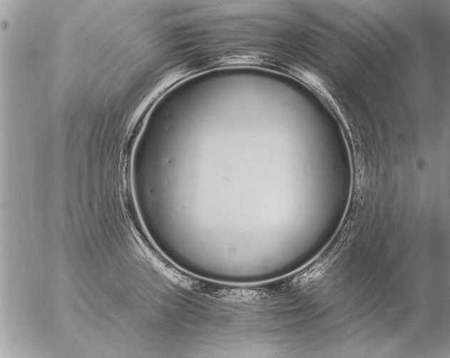 X0000057061235200509231524