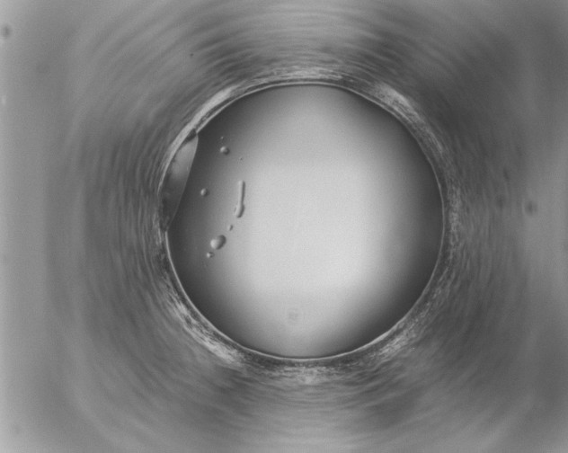 X0000057061236200509231524