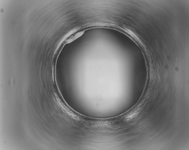 X0000057061238200509231524