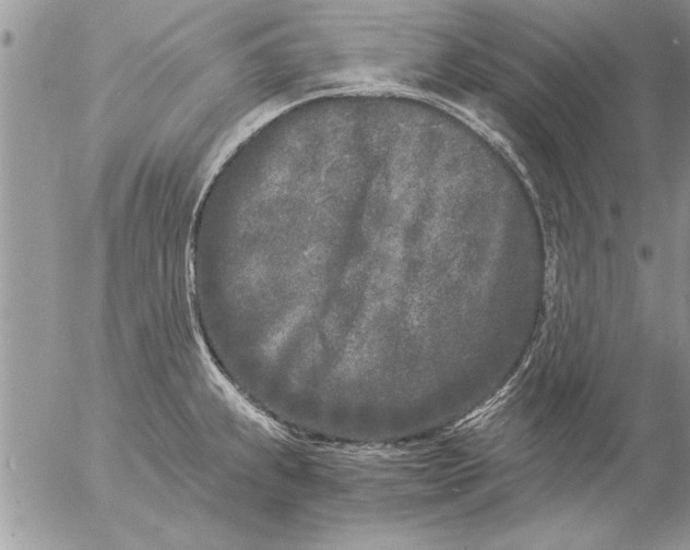 X0000057061239200509231524