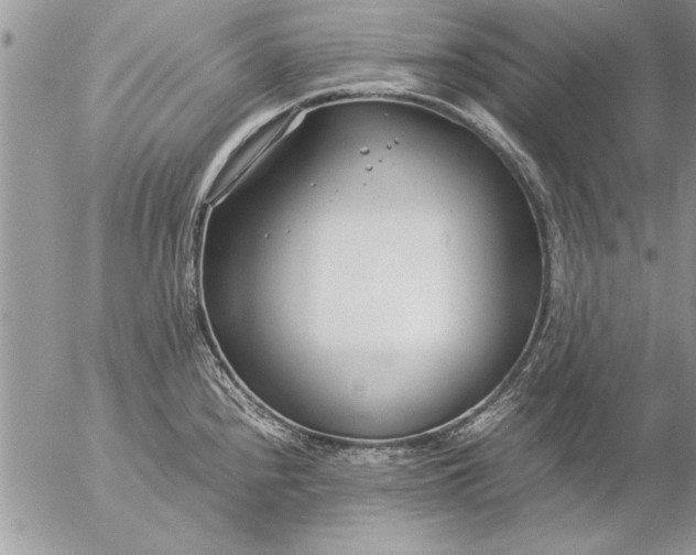 X0000057061240200509231524