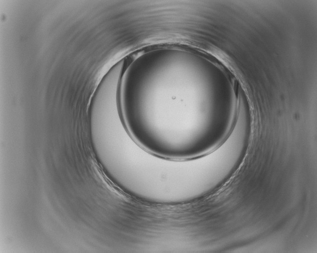 X0000057061242200509231524