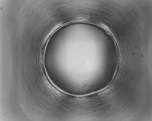 X0000057061243200509231524