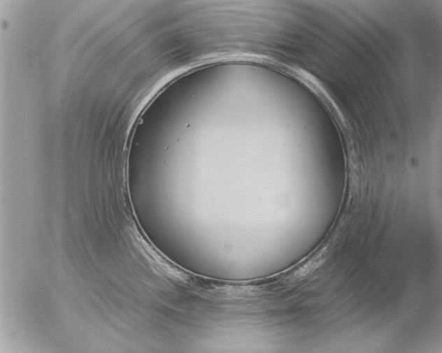 X0000057061244200509231524