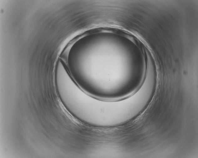 X0000057061246200509231524