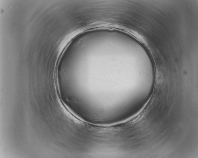 X0000057061247200509231524