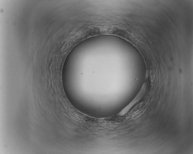 X0000057061249200509231523