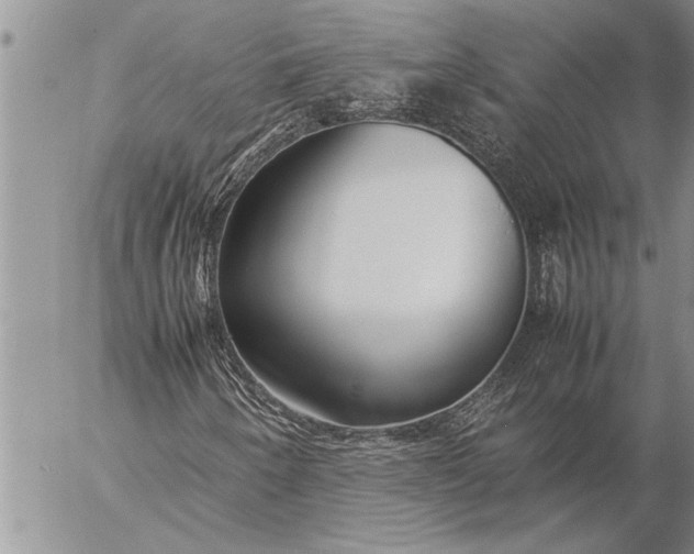 X0000057061250200509231523