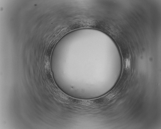 X0000057061251200509231523