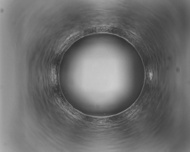 X0000057061252200509231523