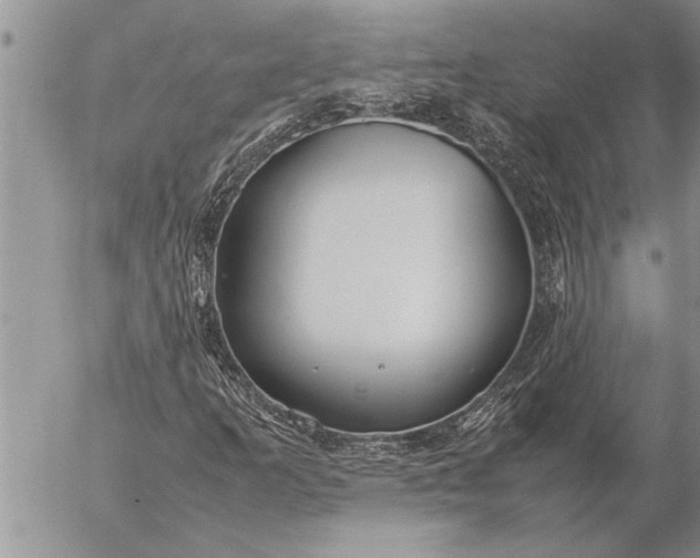 X0000057061253200509231523