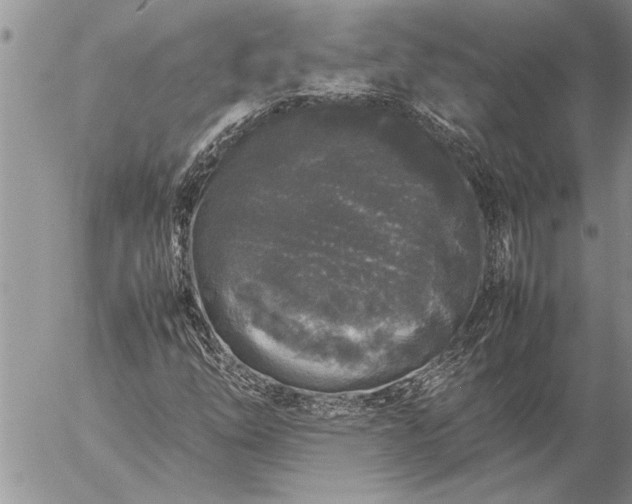 X0000057061254200509231523