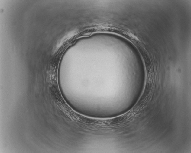 X0000057061255200509231523