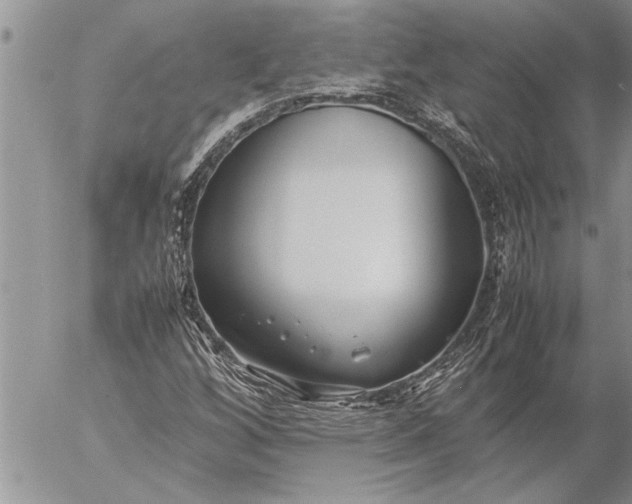 X0000057061256200509231523