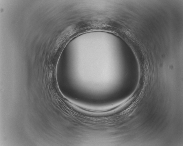 X0000057061257200509231523