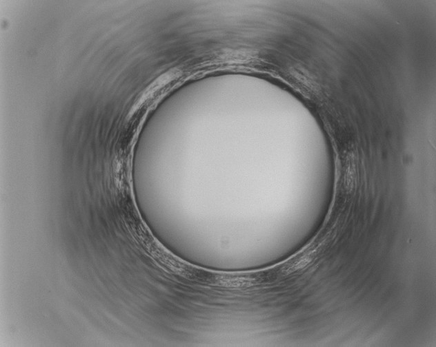 X0000057061258200509231523