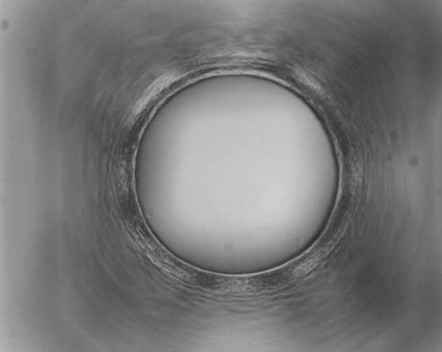 X0000057061259200509231523