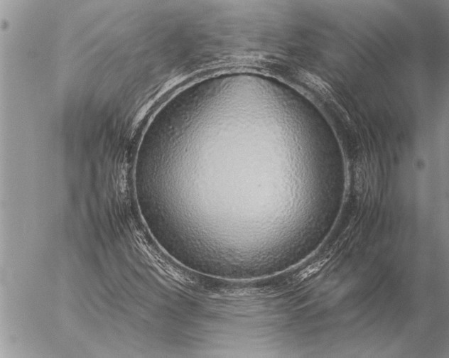 X0000057061260200509231523