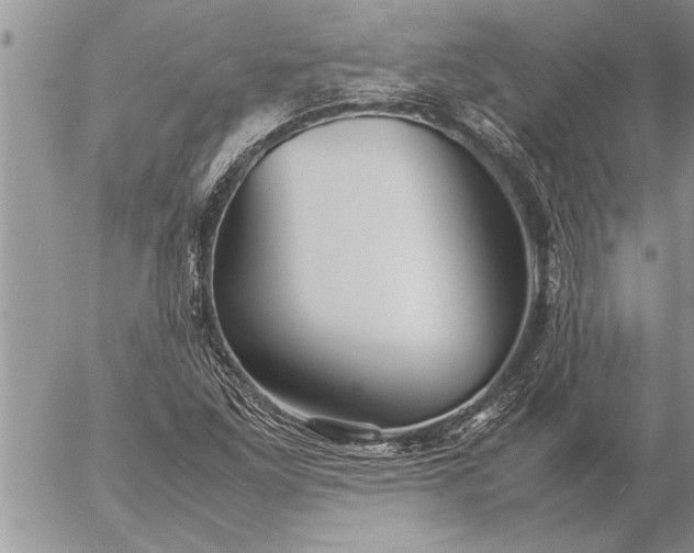 X0000057061261200509231523