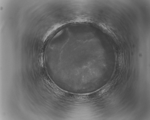 X0000057061262200509231523