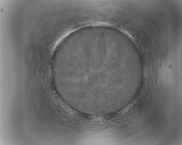 X0000057061263200509231523