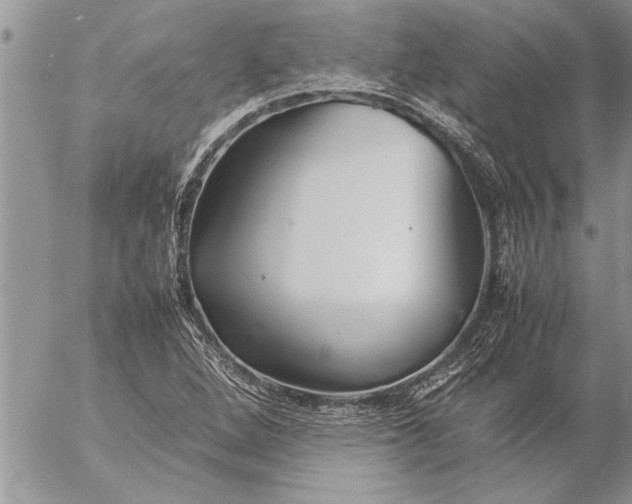 X0000057061264200509231523