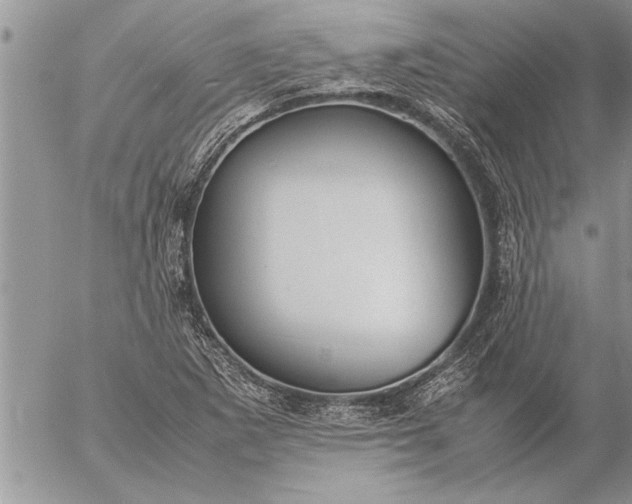 X0000057061265200509231523