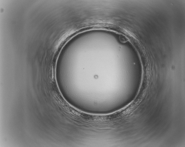 X0000057061267200509231523