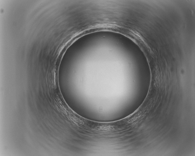 X0000057061268200509231523