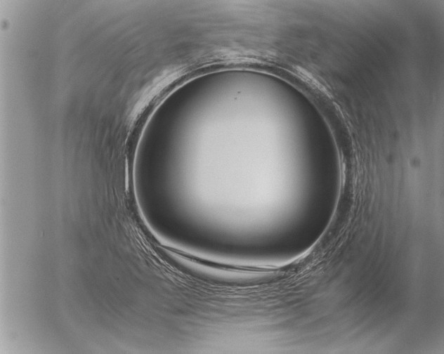 X0000057061269200509231523