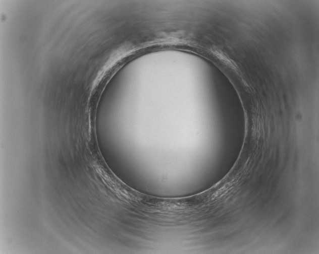 X0000057061270200509231523