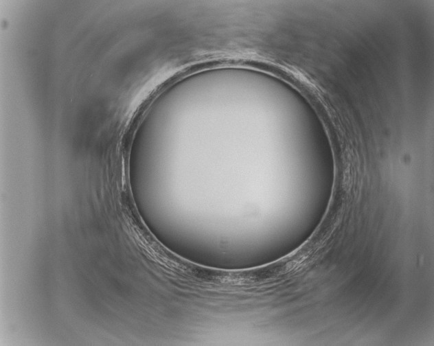 X0000057061271200509231523