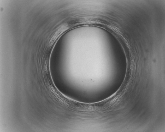 X0000057061273200509231523