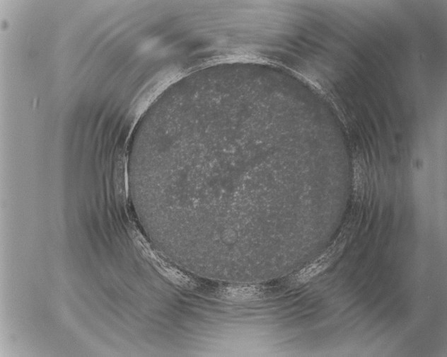 X0000057061274200509231523