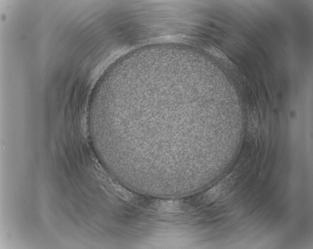 X0000057061278200509231522