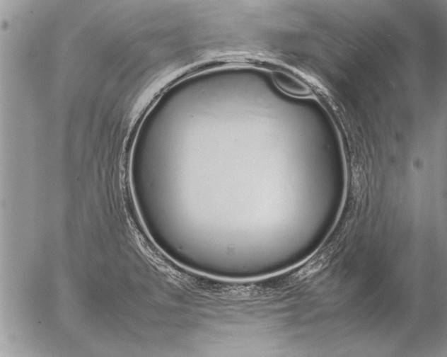 X0000057061279200509231522