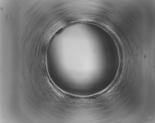 X0000057061281200509231522